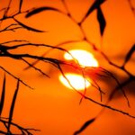 2024 foi o ano mais quente já registrado – 2025 não deve ser diferente